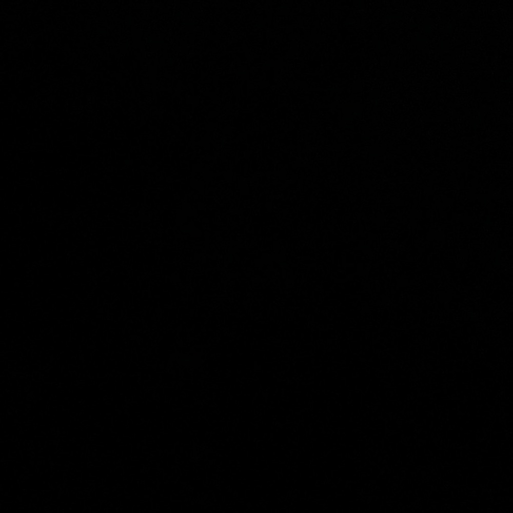 Blank